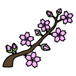 Sakura kaika