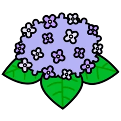 Flower ajisai
