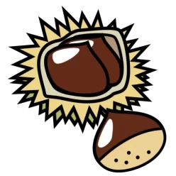 Kuri