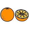 Fruit orange