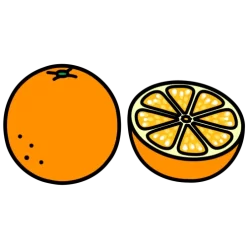 Fruit orange