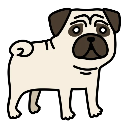 Dog pug