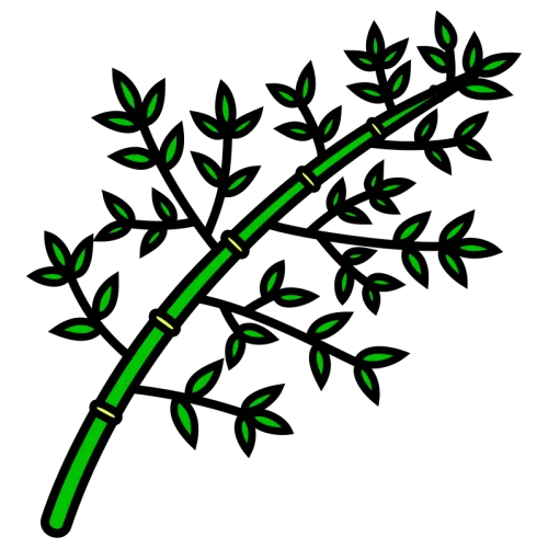 Sasa