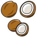 Fruit coconut