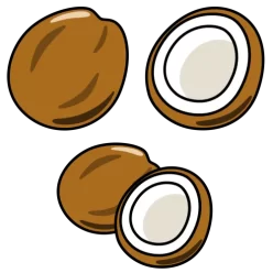 Fruit coconut