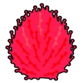 Kokia