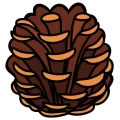 Matsubokkuri