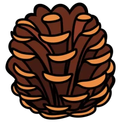 Matsubokkuri