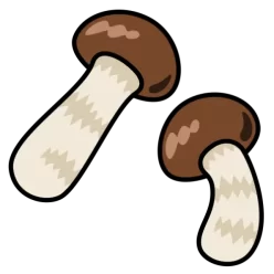 Matsutake