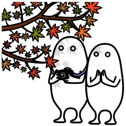 Momiji gari