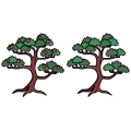 Tree matsu