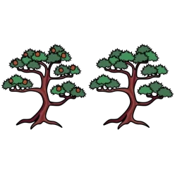 Tree matsu