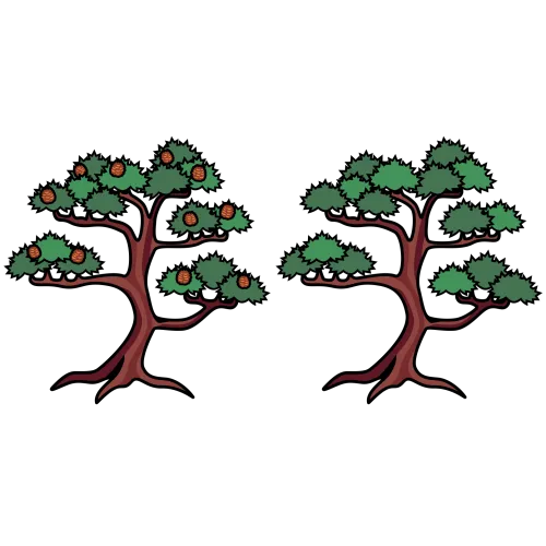 Tree matsu