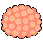 Chrysanthemum
