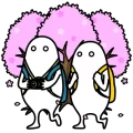 Ohanami walk