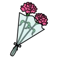 Carnation hanataba