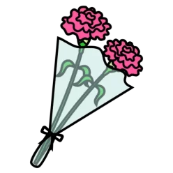Carnation hanataba