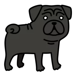 Dog pug2