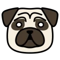 Pug kao