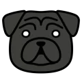 Pug kao2