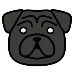 Pug kao2