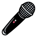 Karaoke mike